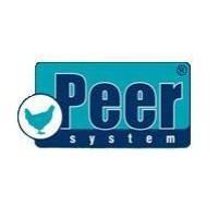 Peer System B.V. Logo
