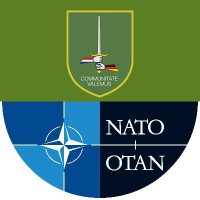 1 German-Netherlands Corps Logo