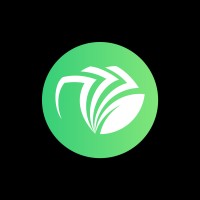 moneytree Consulting Logo