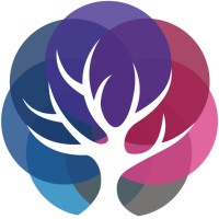 Saeidan (a Techstars portfolio company) Logo