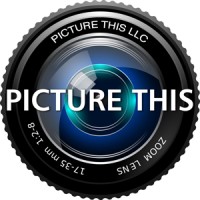Picture This LLC Logo