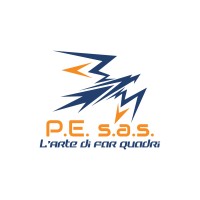 P.E. s.a.s. di Ziggiotti Barnaba & C. Logo