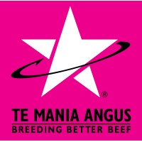 Te Mania Angus Logo
