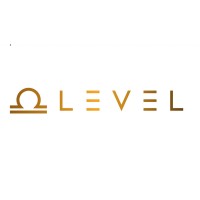 Level D&I Solutions Logo