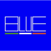 Blueitaly Group Logo