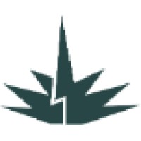 Agave Systems, LLC Logo