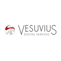 Vesuvius Digital Services Logo