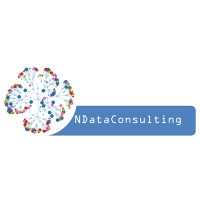 NDATACONSULTING Logo