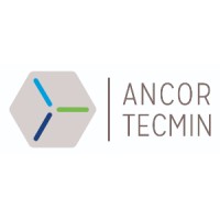 Nueva Ancor Tecmin S.A. Logo