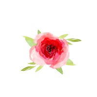 The Rare Rose Logo