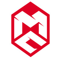 Esports.NGO | ESPORTS FOR THE BETTER WORLD Logo