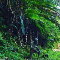 Trinidad and Tobago Conservancy Guild Logo