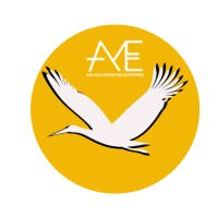 Asilana Marketing Enterprise Logo