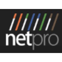 NetPro IT, LLC Logo