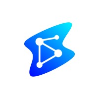 Datasize Tecnologia Logo