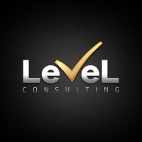 LeVeL Consulting US Logo