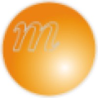 Mavei Interim Project Management and Consultancy Logo
