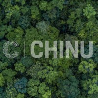 Chinu Participacoes Logo