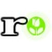 RAYLAN Consulting Logo
