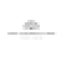 SARA COSGROVE STUDIO Logo