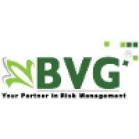 BVG - Your Partner in Risk Management Logo