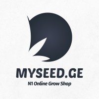 MYSEED.GE Logo