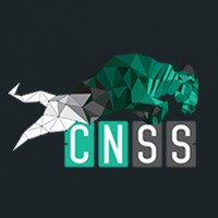 Checksum Network Security Services Logo