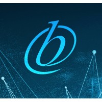 BOC Partners Logo