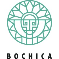 Bochica. Networks Logo