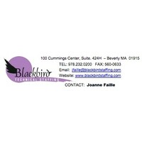 Blackbird Technical Staffing Logo