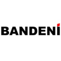Bandeni Ltd Logo