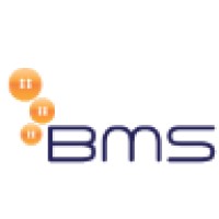 Business Management Systems Logo