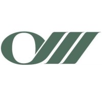 QSM Consulting Logo