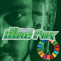 Herning Blue Fox Logo