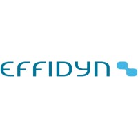 EFFIDYN Logo