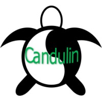 Candulin Limited Logo