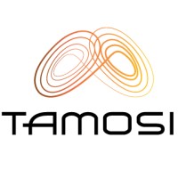 TAMOSI, LLC Logo
