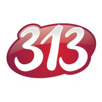 313 Group Logo