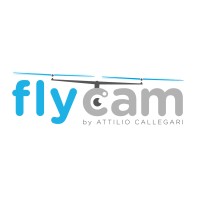 Flycam Logo