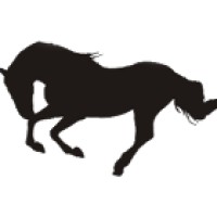 Stallion Enterprises International Corporation Logo