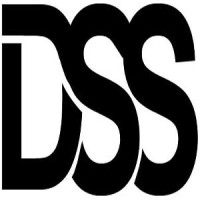 Distinct Stone Solutions LLC Logo