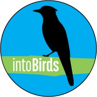intoBirds (Birding Unlimited LLC) Logo