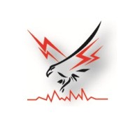 Loyal Group of Companies Logo