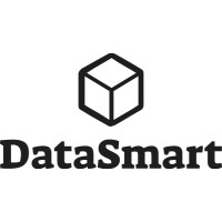 DataSmart Logo