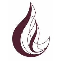 Torch Innovation Consultancy Logo