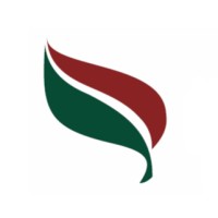 E.B.M. Consulting Logo