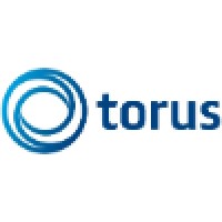 Torus Finance Consult Logo