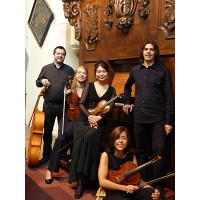 Hildebrandt Consort Logo