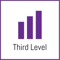 Third Level France Logo