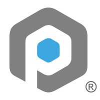 Platinum Fleet Logo